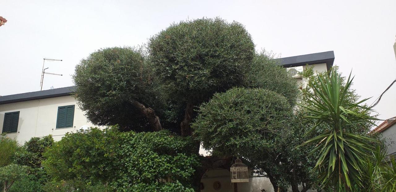 Il Vecchio Ginepro Bed & Breakfast Capoterra Eksteriør bilde